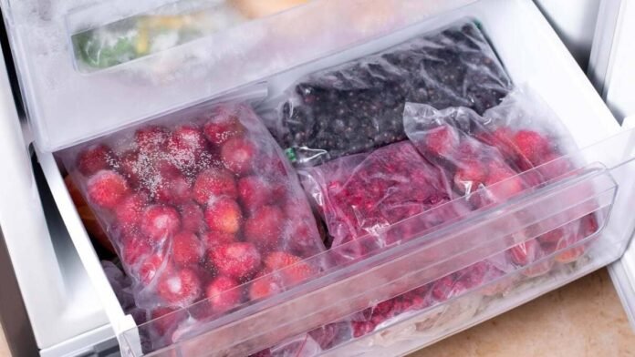 Como congelar frutas, verduras e legumes sem perder qualidade: guia completo