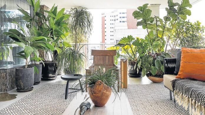 Plantas tropicais para vaso: 14 espécies fáceis de cultivar em casa